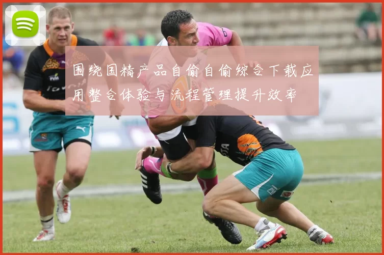 围绕国精产品自偷自偷综合下载应用整合体验与流程管理提升效率