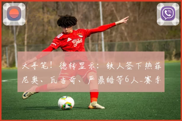 大手笔！德转显示：铁人签下热菲尼奥、瓦吉奇、严鼎皓等6人_赛季_中超_能力