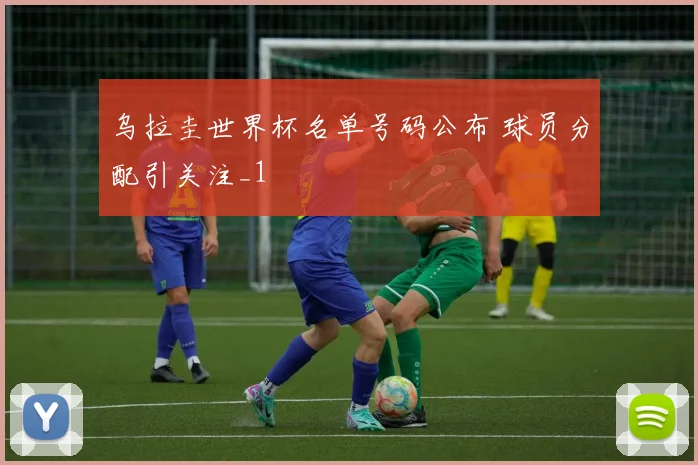 乌拉圭世界杯名单号码公布 球员分配引关注_1
