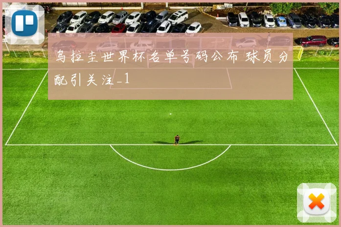 乌拉圭世界杯名单号码公布 球员分配引关注_1